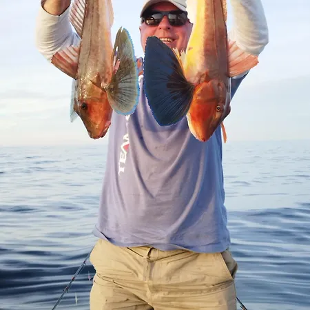 аргантоне Apartamento