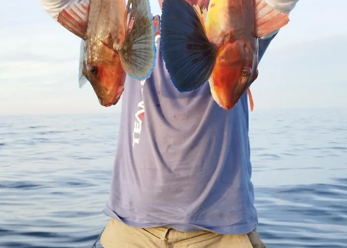 аргантоне アパート